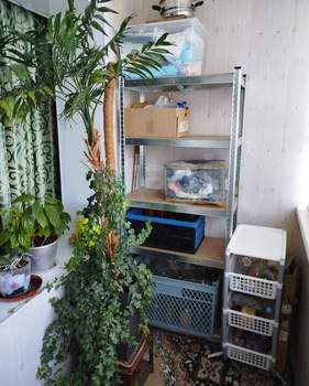 3-к квартира, вторичка, 57м2, 9/9 этаж