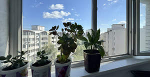 3-к квартира, вторичка, 65м2, 3/9 этаж