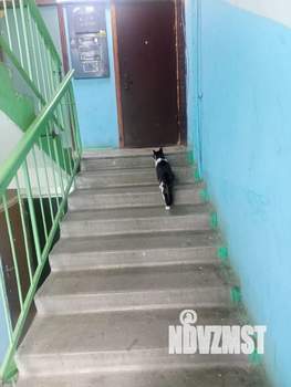 1-к квартира, вторичка, 31м2, 3/5 этаж