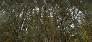 2-к квартира, вторичка, 42м2, 3/5 этаж