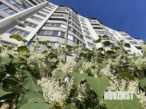 2-к квартира, вторичка, 56м2, 8/10 этаж