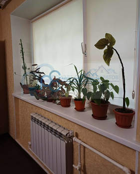 3-к квартира, вторичка, 43м2, 1/5 этаж