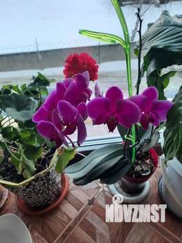 1-к квартира, вторичка, 37м2, 2/10 этаж