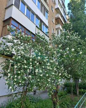 3-к квартира, вторичка, 58м2, 1/9 этаж