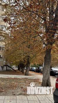 3-к квартира, вторичка, 98м2, 10/10 этаж