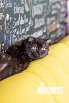 3-к квартира, вторичка, 76м2, 4/4 этаж