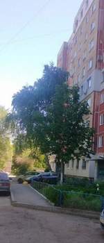 3-к квартира, вторичка, 63м2, 6/10 этаж