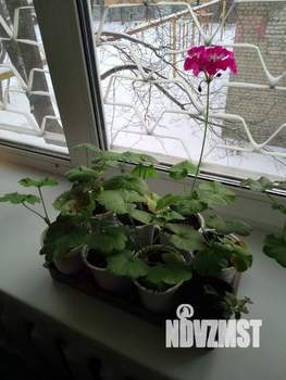 3-к квартира, вторичка, 61м2, 2/5 этаж