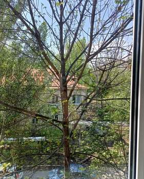 2-к квартира, вторичка, 68м2, 3/3 этаж