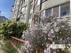 2-к квартира, вторичка, 56м2, 8/10 этаж