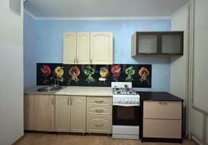 1-к квартира, вторичка, 42м2, 10/10 этаж