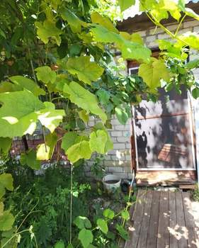 1-к квартира, вторичка, 28м2, 1/1 этаж