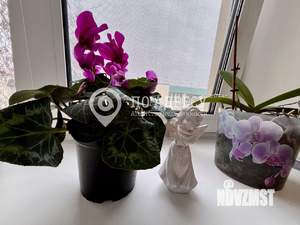 1-к квартира, вторичка, 32м2, 3/3 этаж