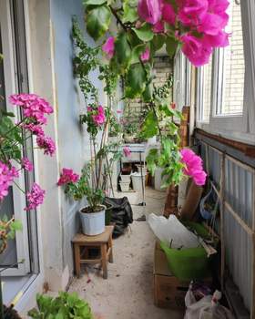 4-к квартира, вторичка, 75м2, 9/9 этаж