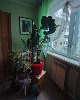 3-к квартира, вторичка, 58м2, 6/9 этаж