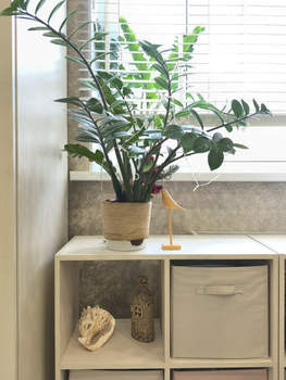 1-к квартира, вторичка, 37м2, 6/10 этаж