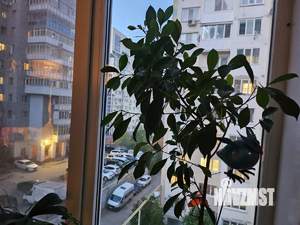 2-к квартира, вторичка, 57м2, 5/10 этаж