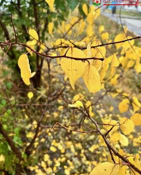 Студия квартира, вторичка, 40м2, 8/10 этаж