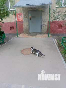 1-к квартира, вторичка, 31м2, 3/5 этаж